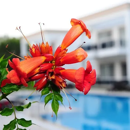 Delita Turkbuku Hotel 2*