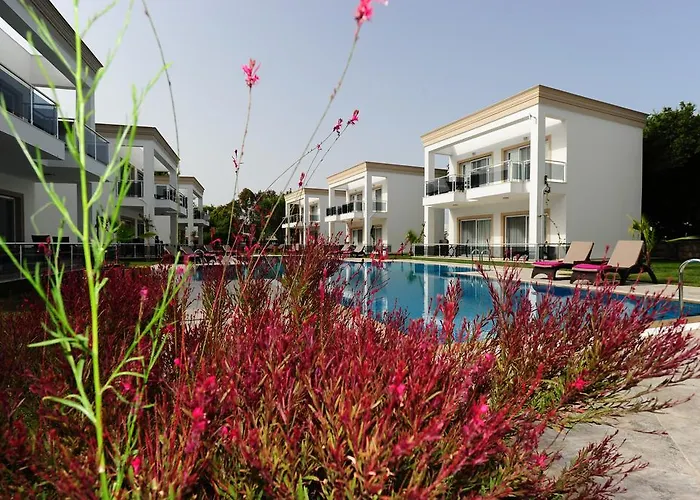 Delita Turkbuku Golturkbuku