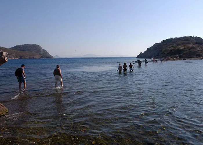 Delita Turkbuku 2* Golturkbuku