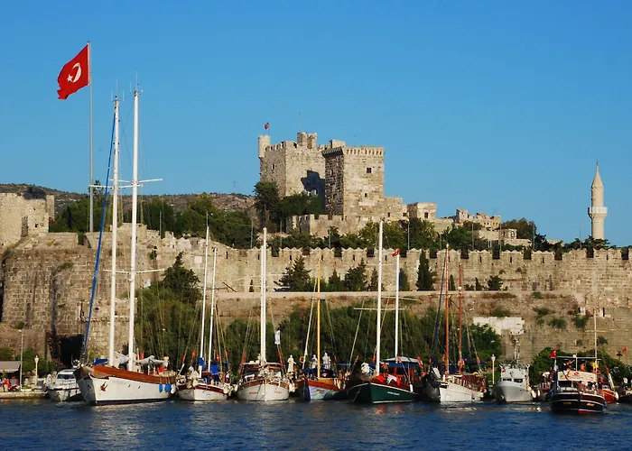 Delita Turkbuku Hotel 2*