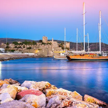 Hotel Delita Turkbuku 2*