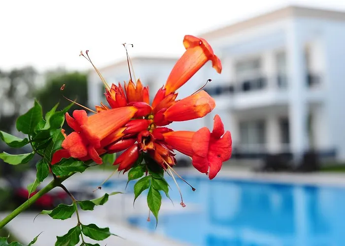 Delita Turkbuku Szálloda 2*