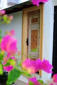 Szálloda Delita Turkbuku